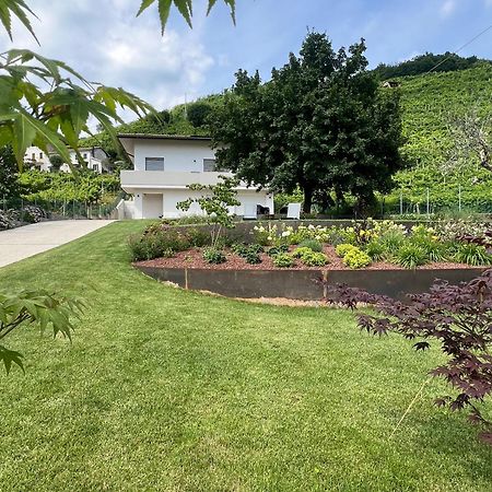 El Zhigol B&B Farra di Soligo Buitenkant foto